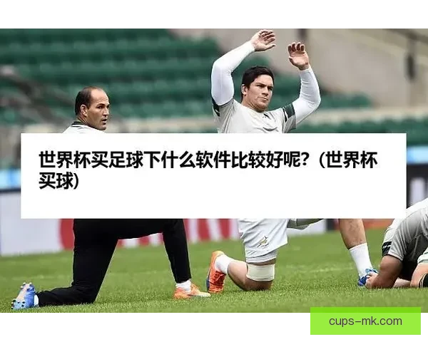 世界杯买球盘口分析与投注策略深度解析助你精准预测赛事结果