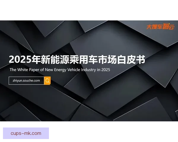 全面分析足球竞猜平台市场发展趋势与用户行为洞察